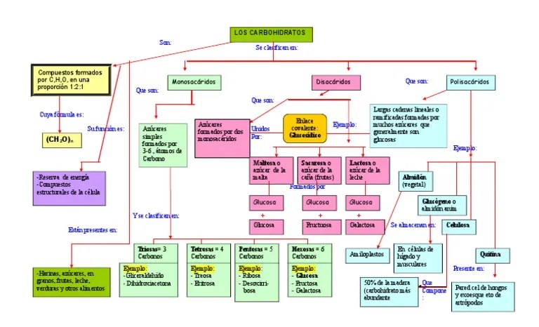 Mapa Conceptual de Carbohidratos Carbohidratos Glucosa Prueba