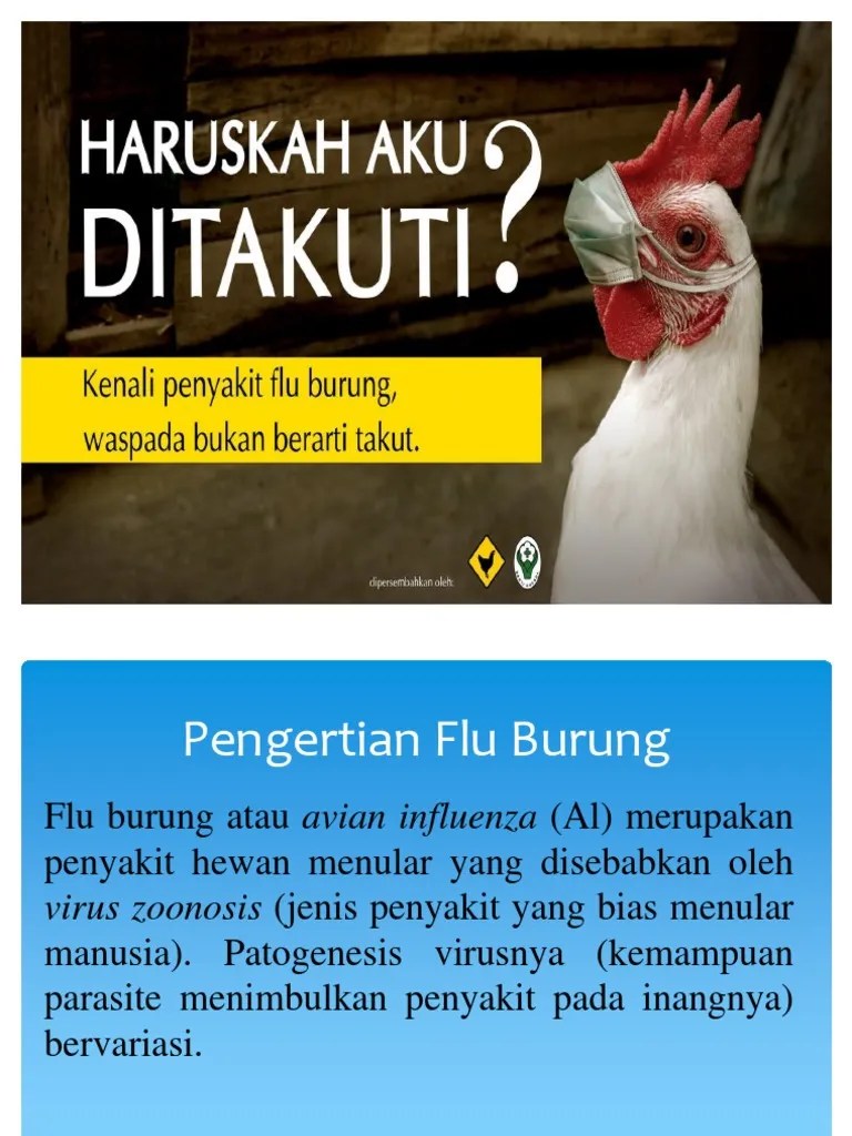 DATA Pengertian Flu Burung | PDF