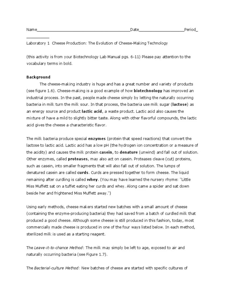 Biotech Lab 1 Cheese Making Lab PDF Cheesemaking Cheese