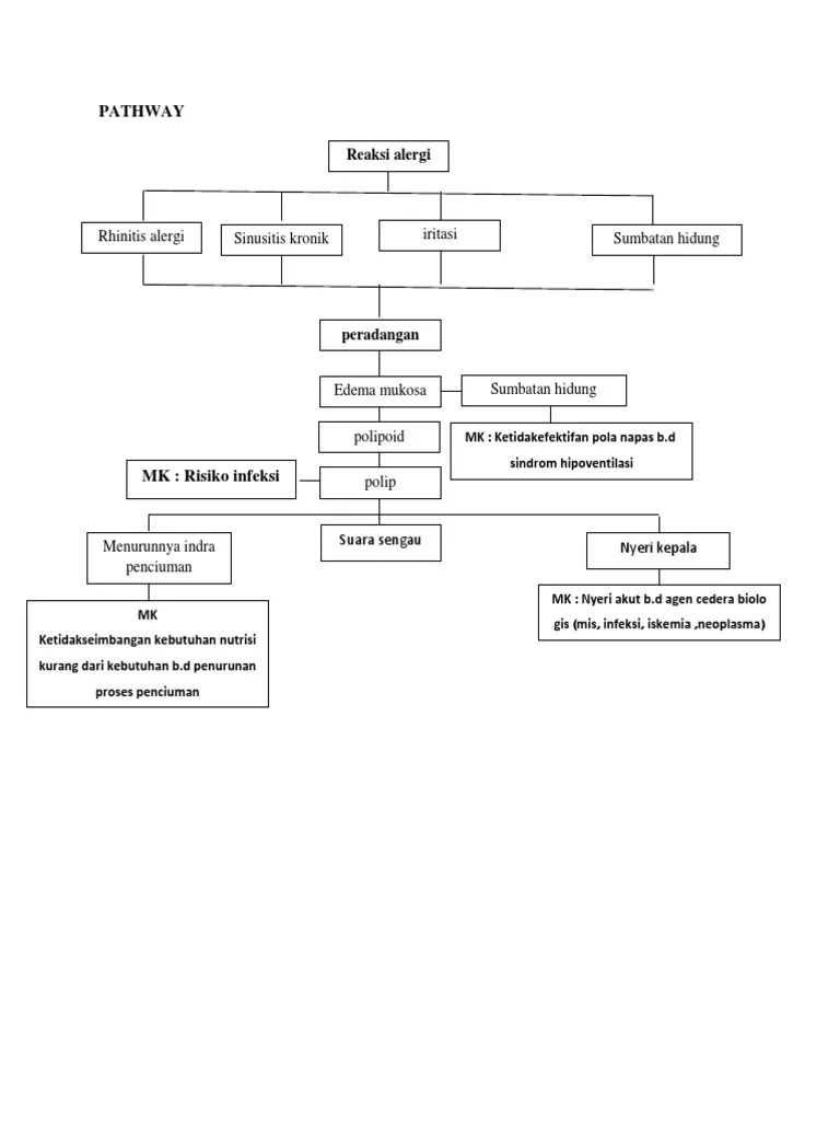 Pathway Polip Hidung PDF