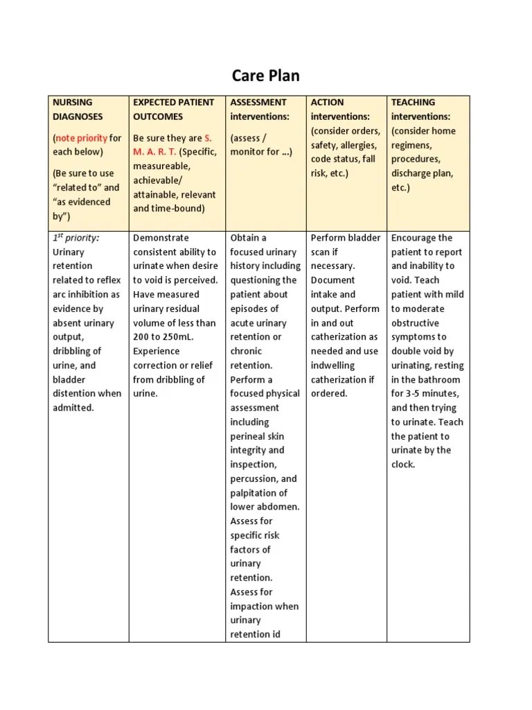 care plan Urinary Incontinence Urination Free 30day Trial Scribd