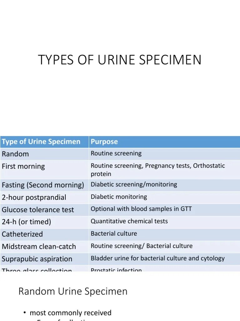 Aubf Lab Types of Urine Specimen Kidney Urine