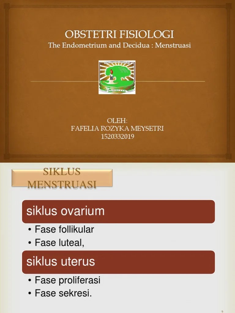 The Endometrium and Decidua - Menstruasi | PDF