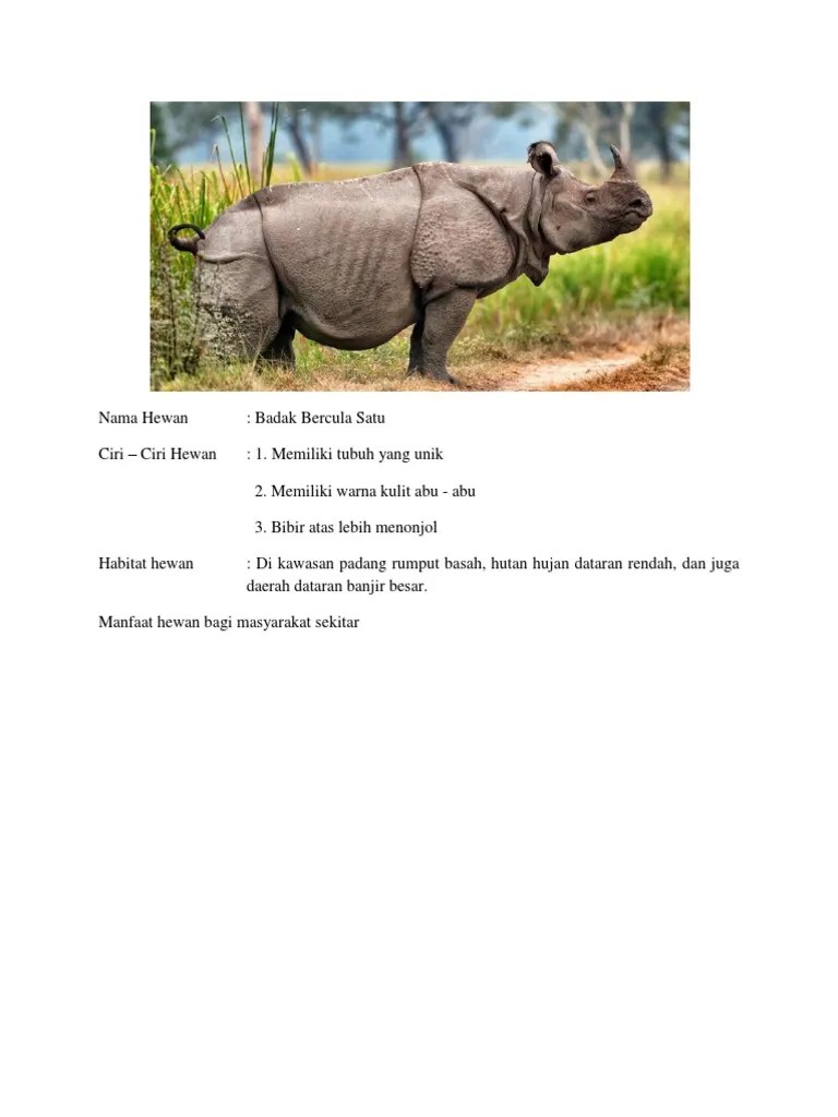 Nama Hewan Badak | PDF