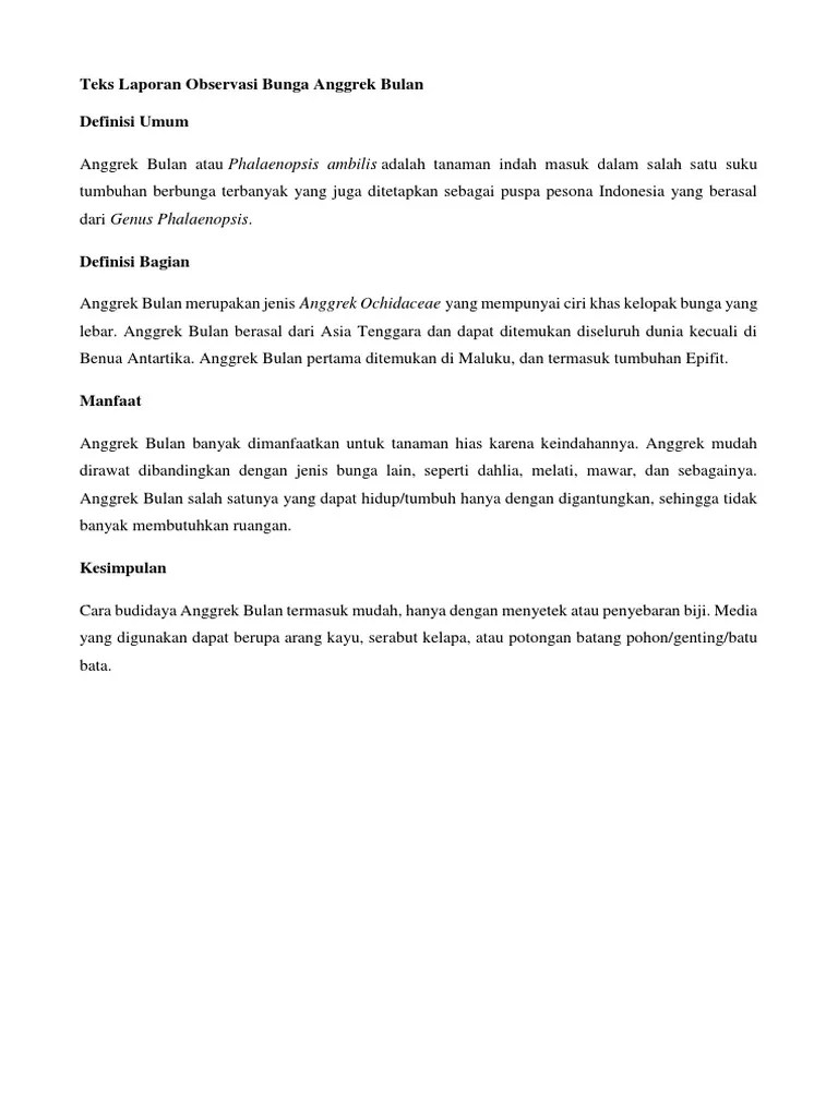 Manfaat Teks Ulasan Teks Ulasan Film Koala Kumal Beserta Strukturnya