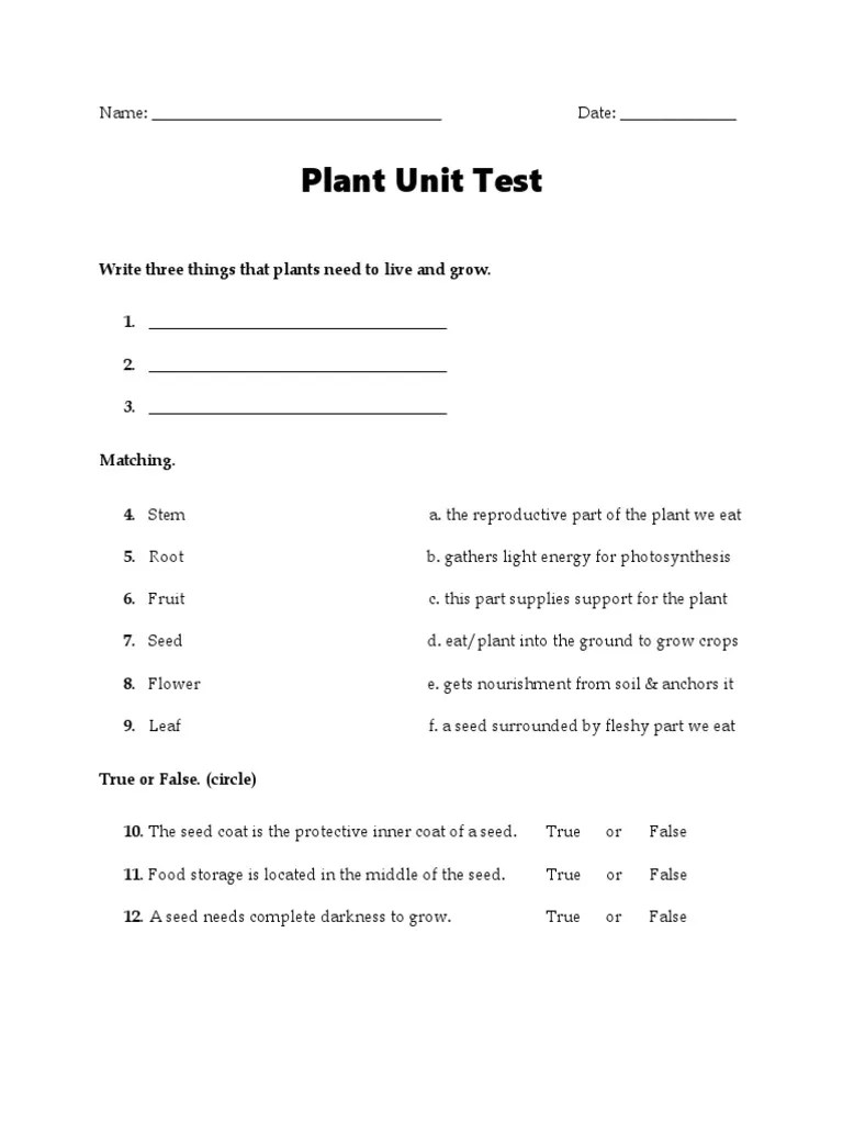 Plant Unit Test Name Date PDF