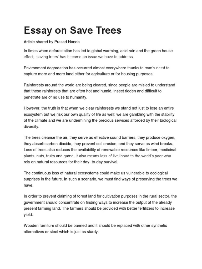 Essay on Save Trees Rainforest Agriculture