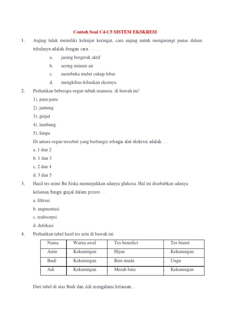 Contoh Soal C5 Biologi Sma Materi Gangguan Pernapasan Binca Books