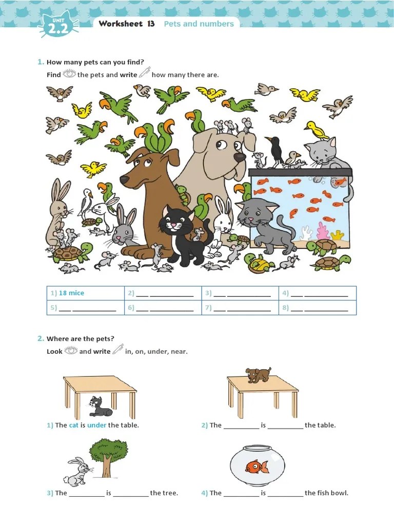How Many Pets Can You Find? Find The Pets and Write How Many There Are