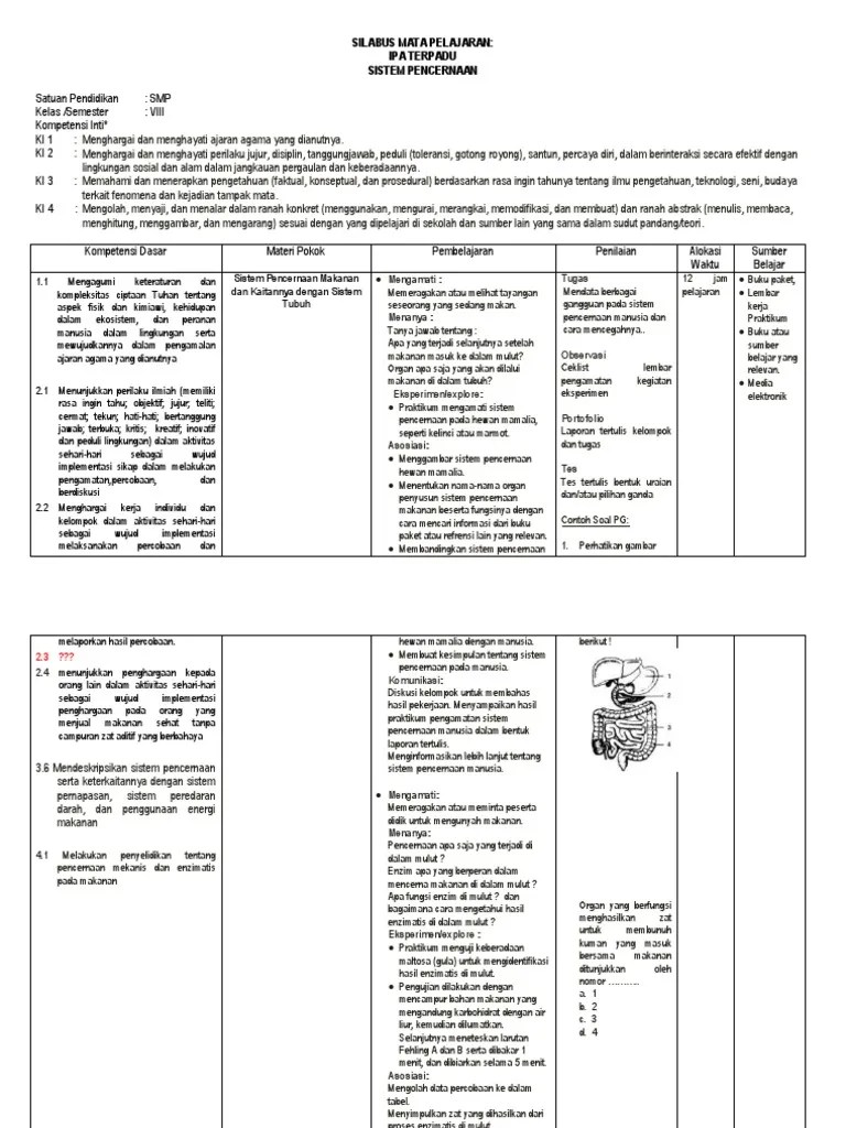 Silabus Materi Sistem Pencernaan IPA Terpadu Kelas VIII