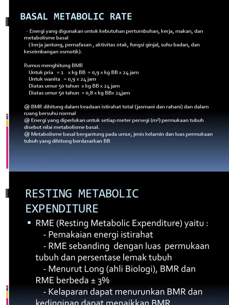 Basal Metabolic Rate | PDF
