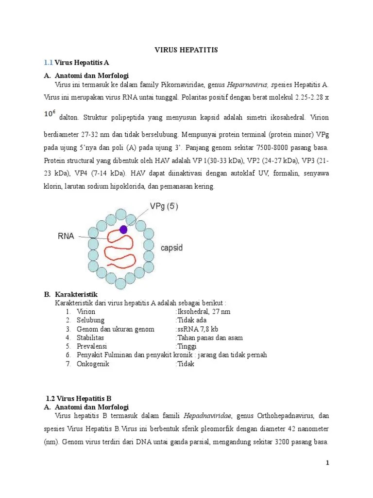 Virus Hepatitis | PDF