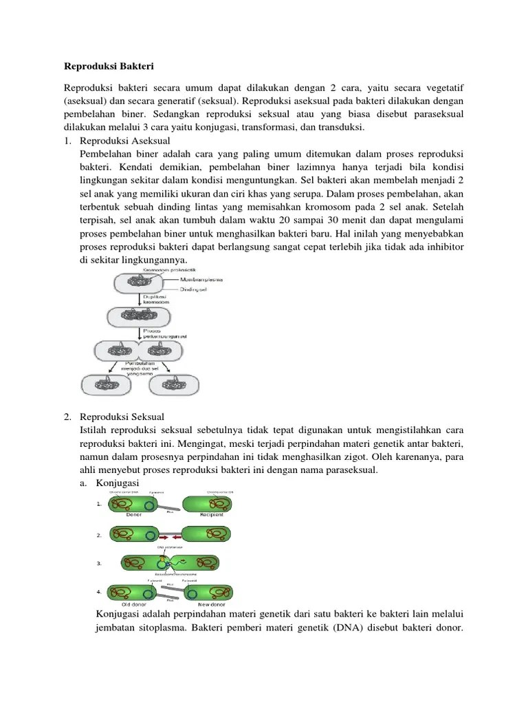 Reproduksi Bakteri Materi | PDF