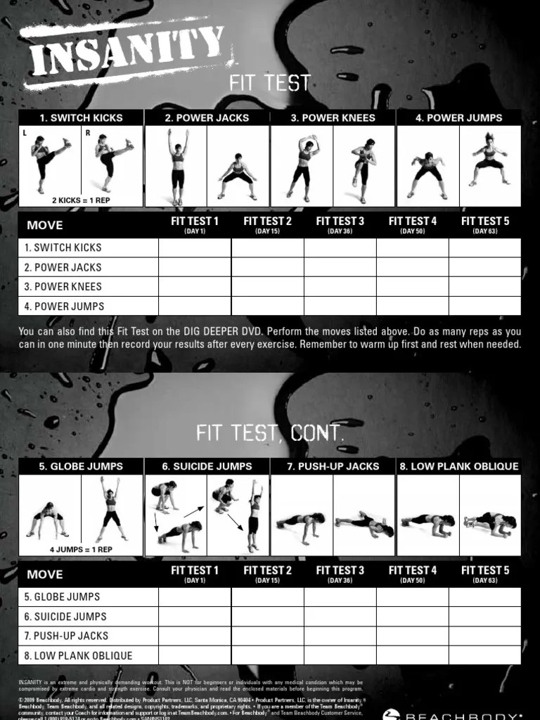 Insanity Workout Worksheets