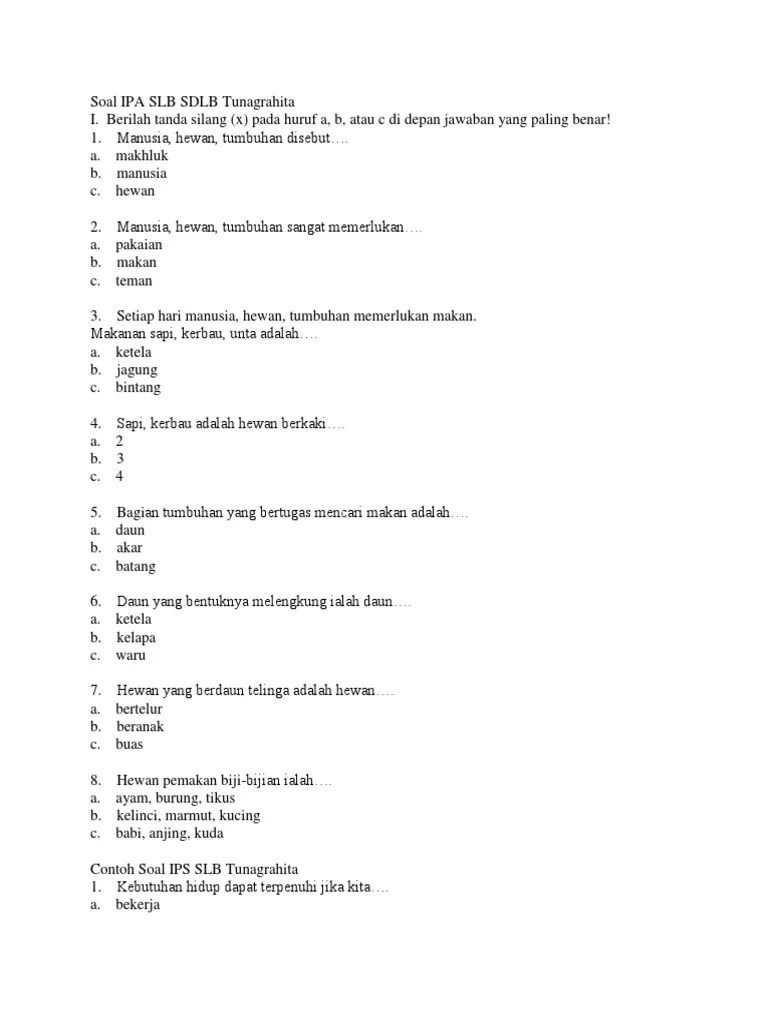 View Silabus Dan Rpp Sdlb Tunagrahita Kelas 6 Gratis Soal Pics