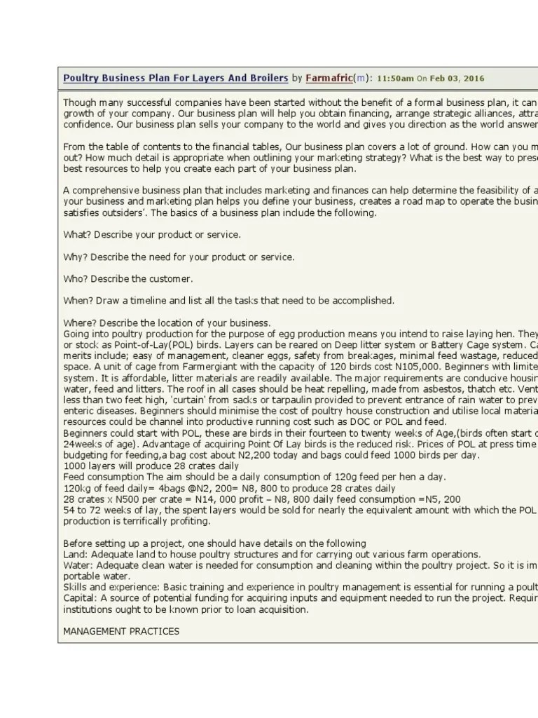 Poultry Business Plan for Layers and Broilers Poultry Farming Chicken