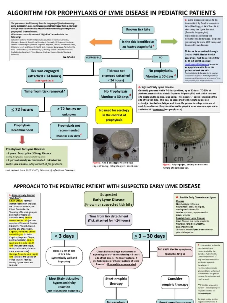 CHEO Algorithm Lyme Disease June2017 Lyme Disease Public Health