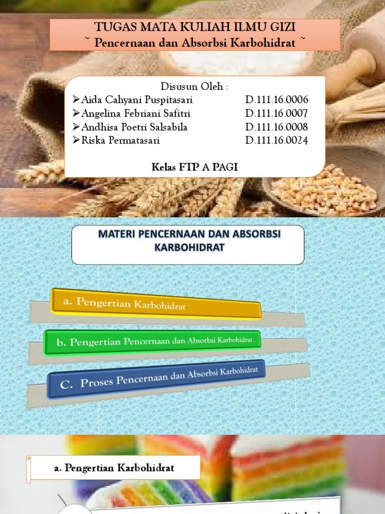 Pencernaan Dan Absorbsi Karbohidrat | PDF