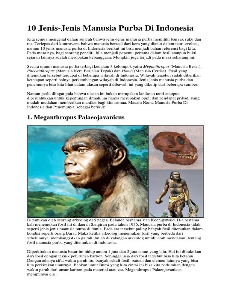 Penemu Fosil Manusia Purba Meganthropus Paleojavanicus Adalah