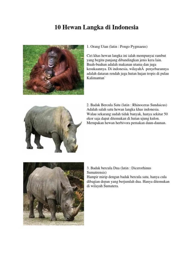 10 Hewan Langka Di Indonesia | PDF