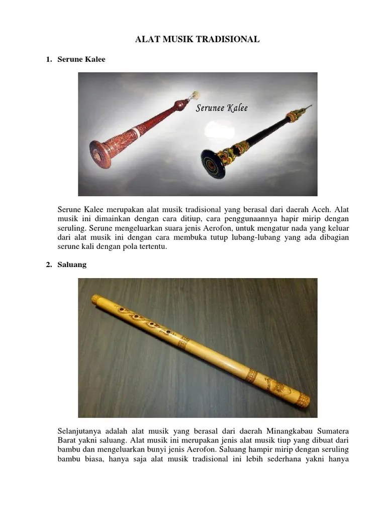 6 Alat Musik Tradisional Indonesia | PDF
