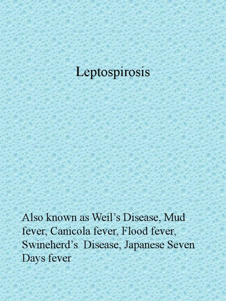 Case Study Leptospirosis Powerpoint PDF Medical Specialties