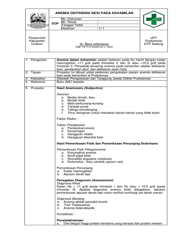 Buku Tentang Anemia Pada Ibu Hamil Info Terkait Buku