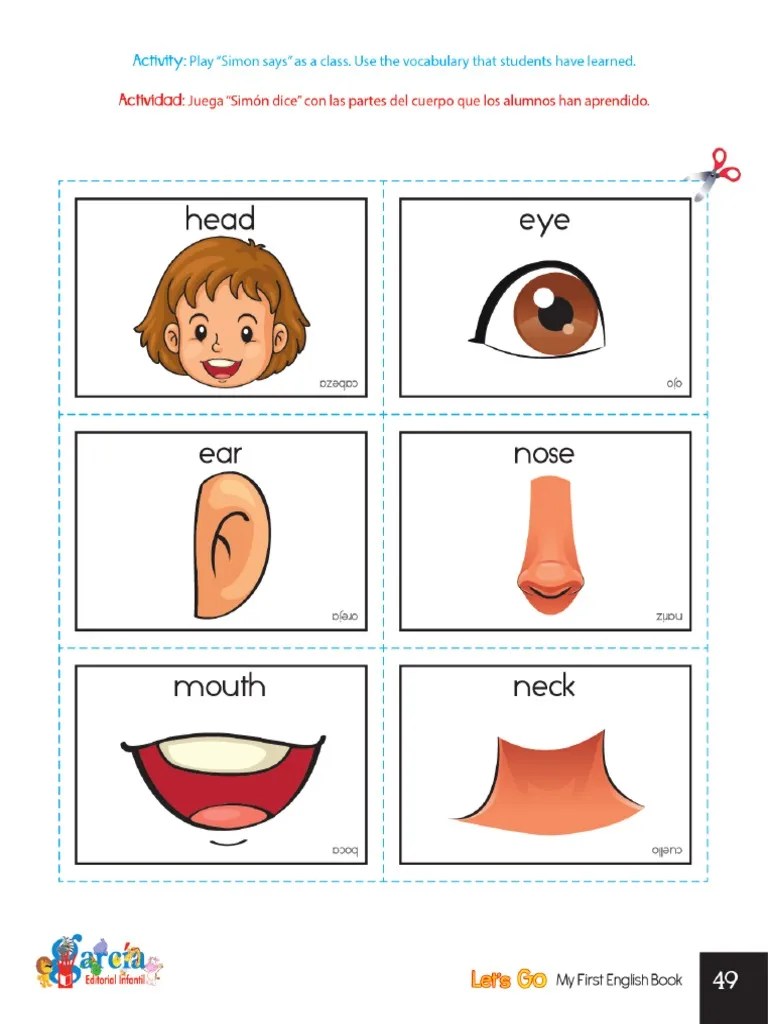 Printable Body-parts Flashcards