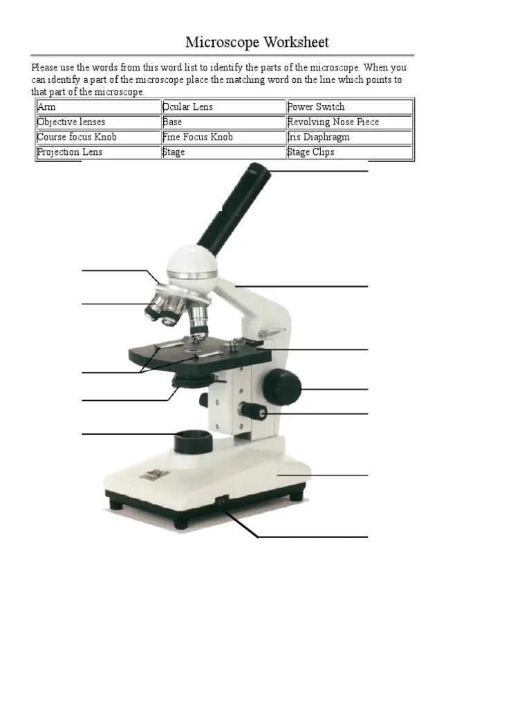 Microscope_Parts_Worksheet.doc