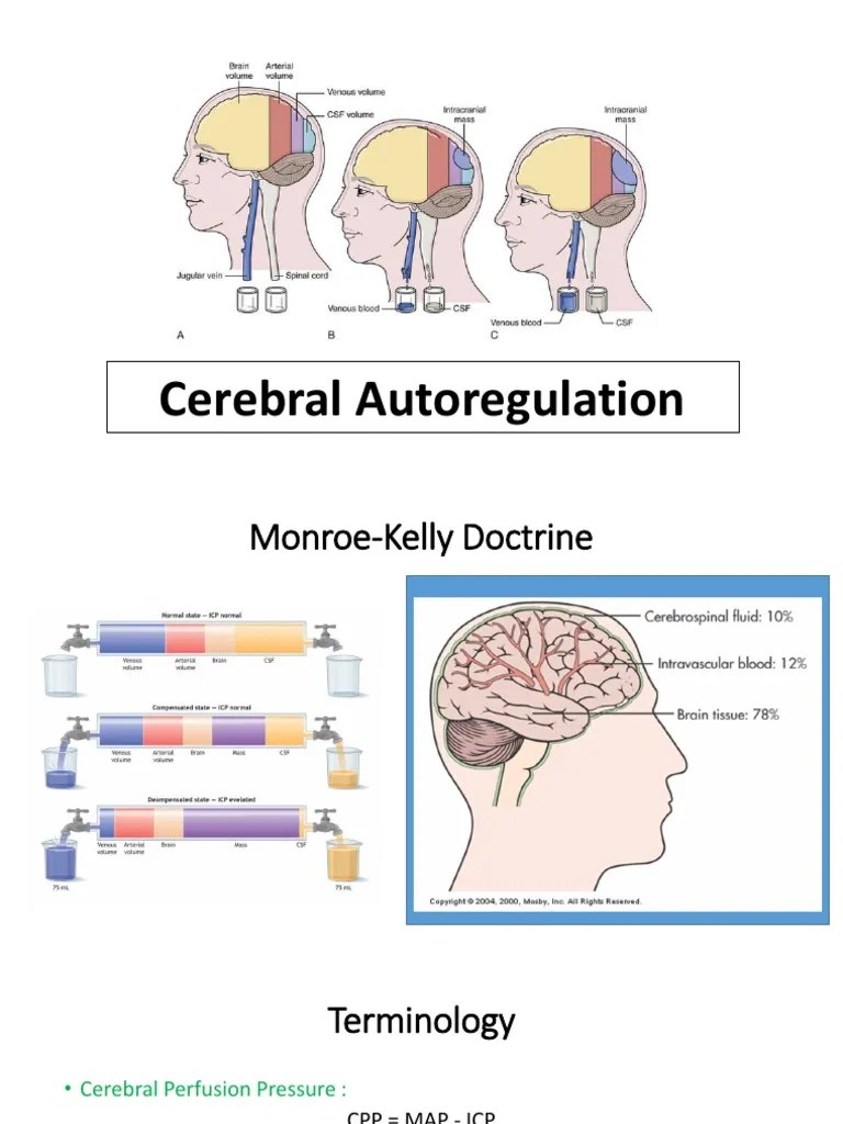 Autoregulation of Cerebral Perfusion Pressure Cardiovascular System