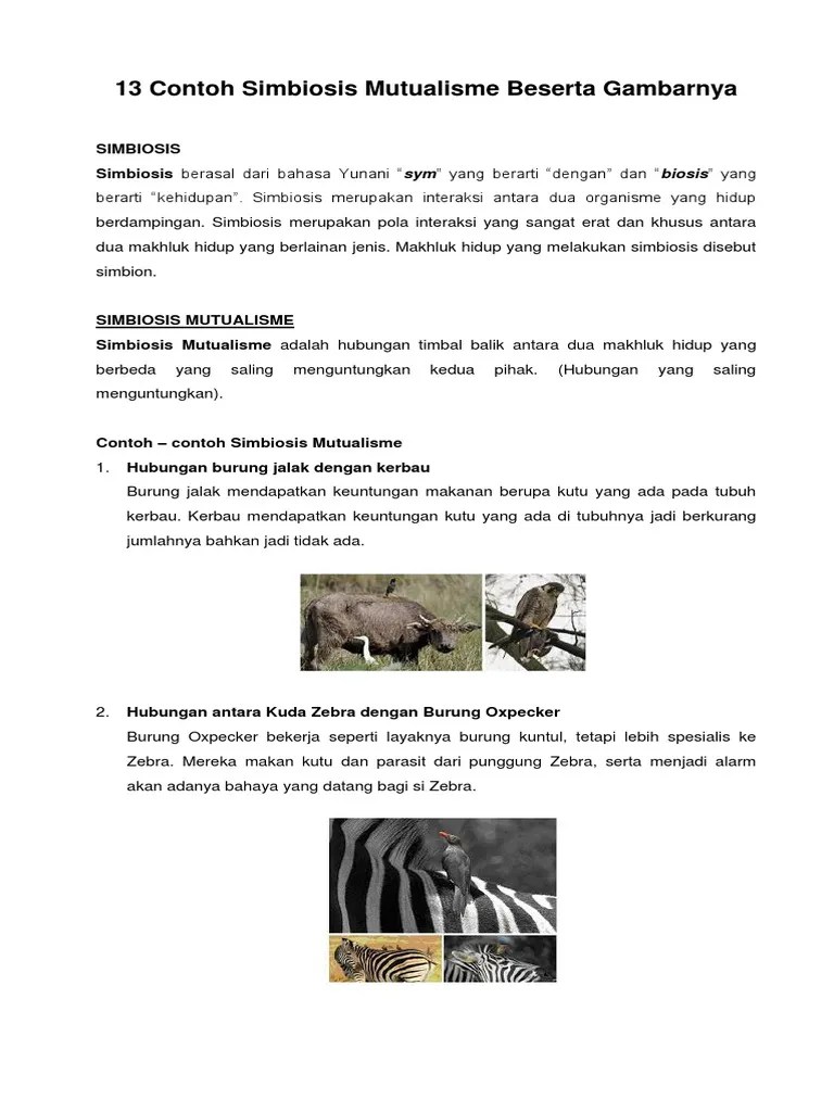 13 Contoh Simbiosis Mutualisme Beserta Gambarnya | PDF