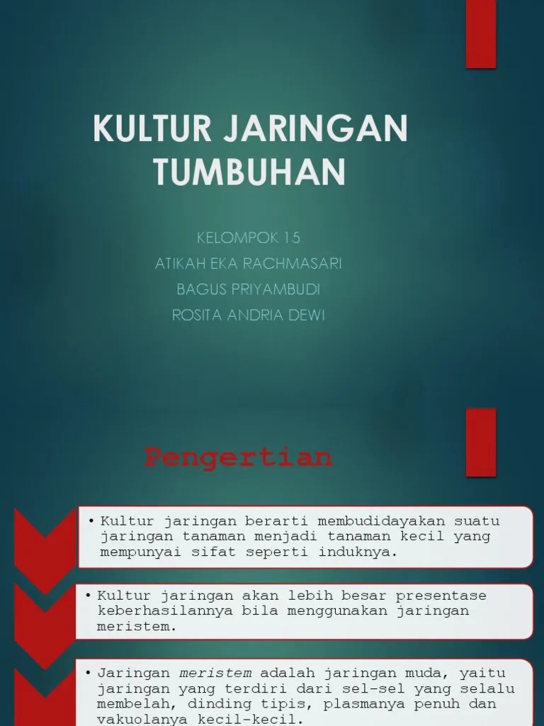 Kultur Jaringan Tumbuhan Ppt