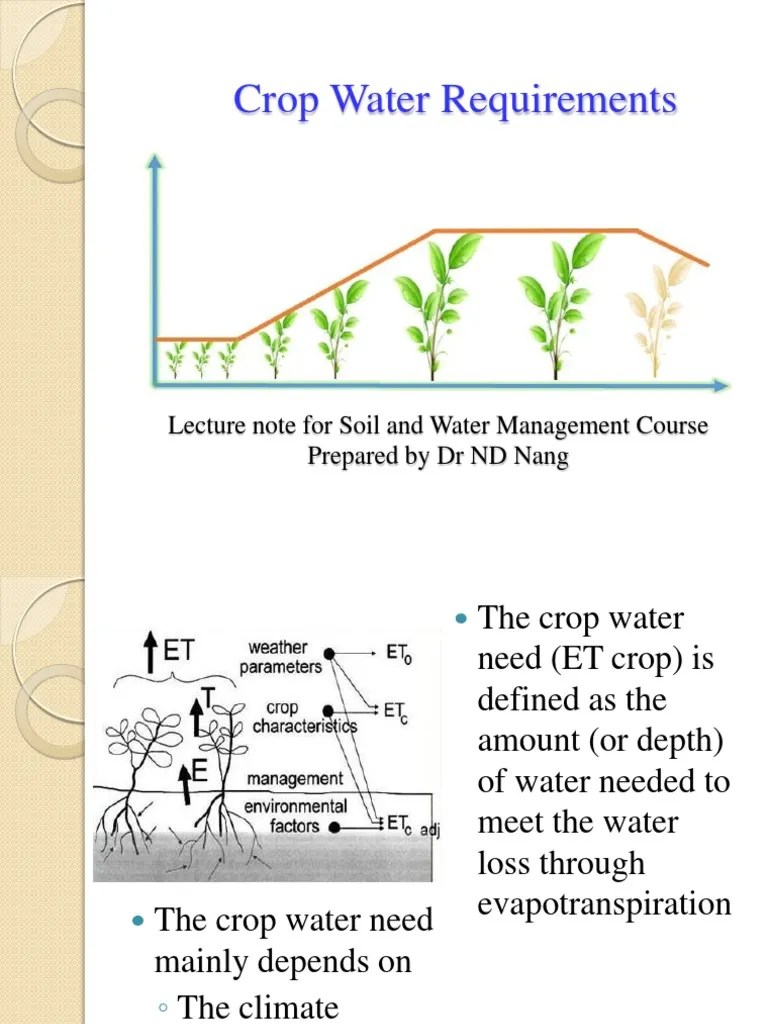 2 Crop Water Requirements PDF Evapotranspiration Soil