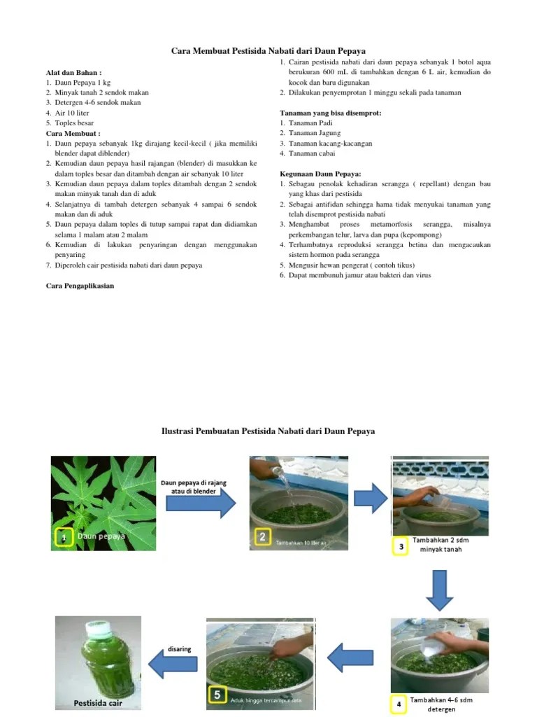 Cara Membuat Pestisida Nabati Dari Daun Pepaya