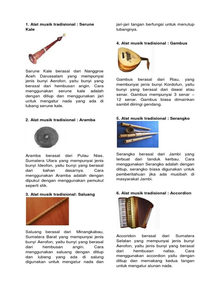 Gambar Alat Musik Accordion Sumatera Selatan