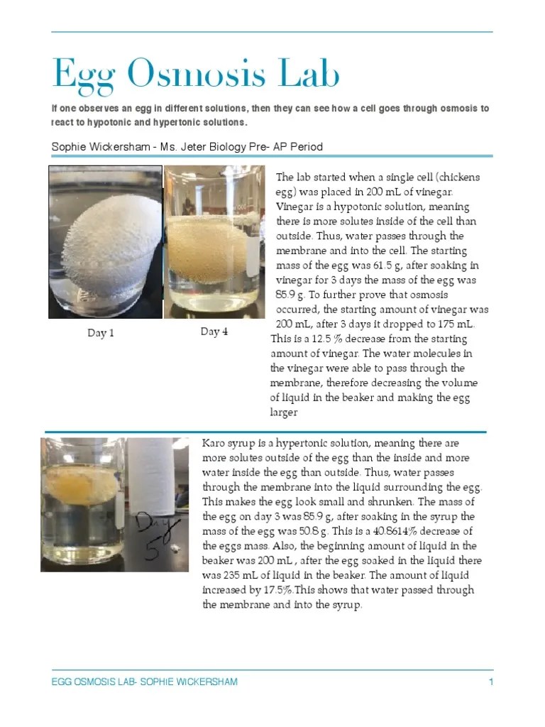 Egg Osmosis Lab PDF Osmosis Solution
