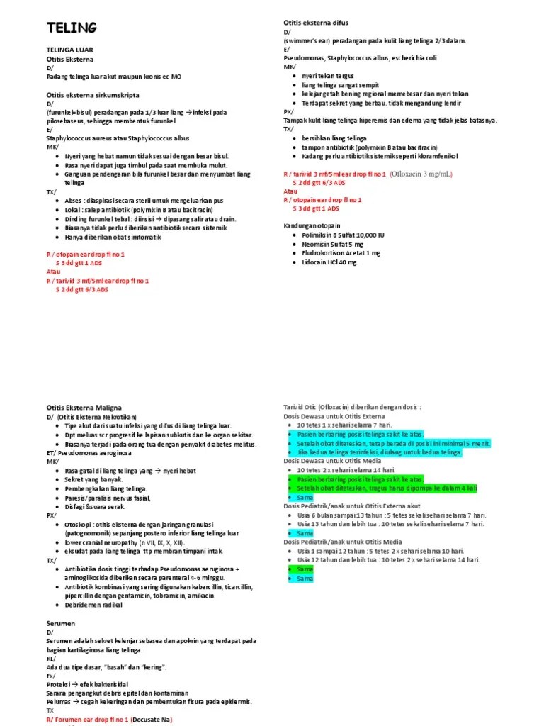 Telinga Docx
