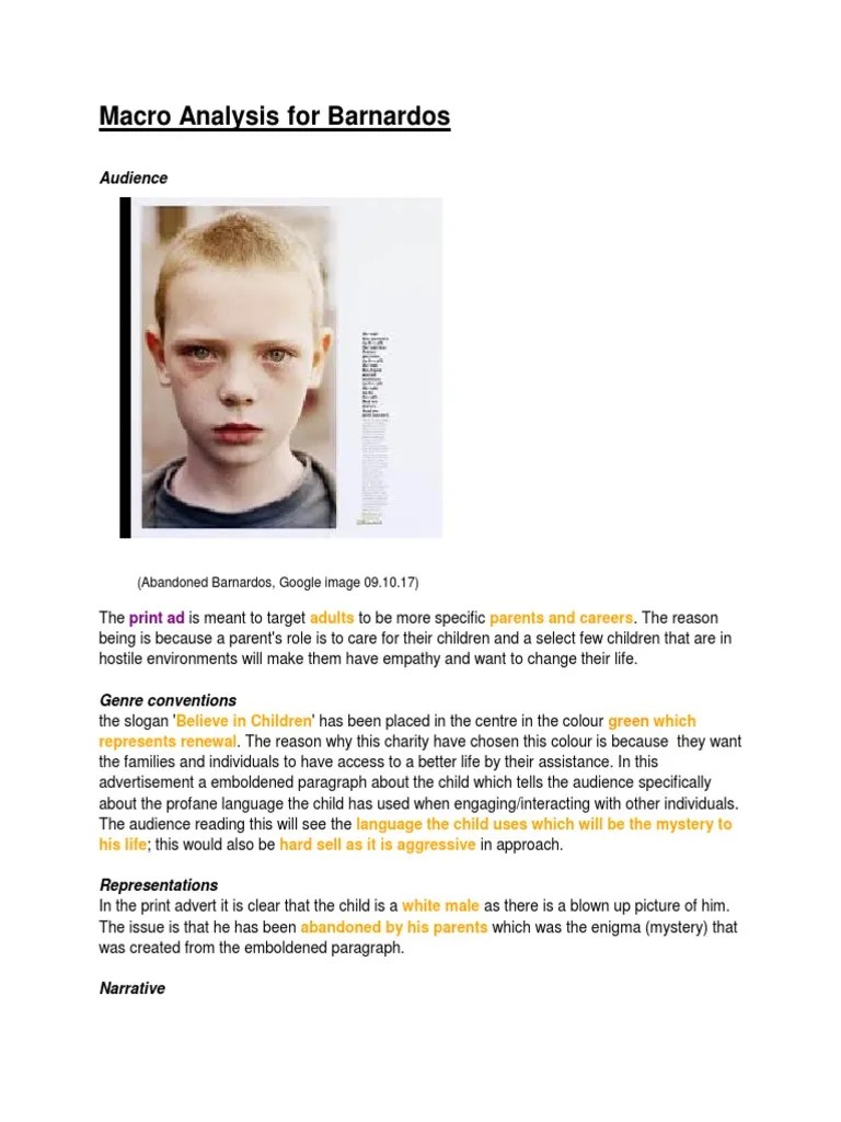 Macro Analysis For Barnardos PDF Advertising Gender