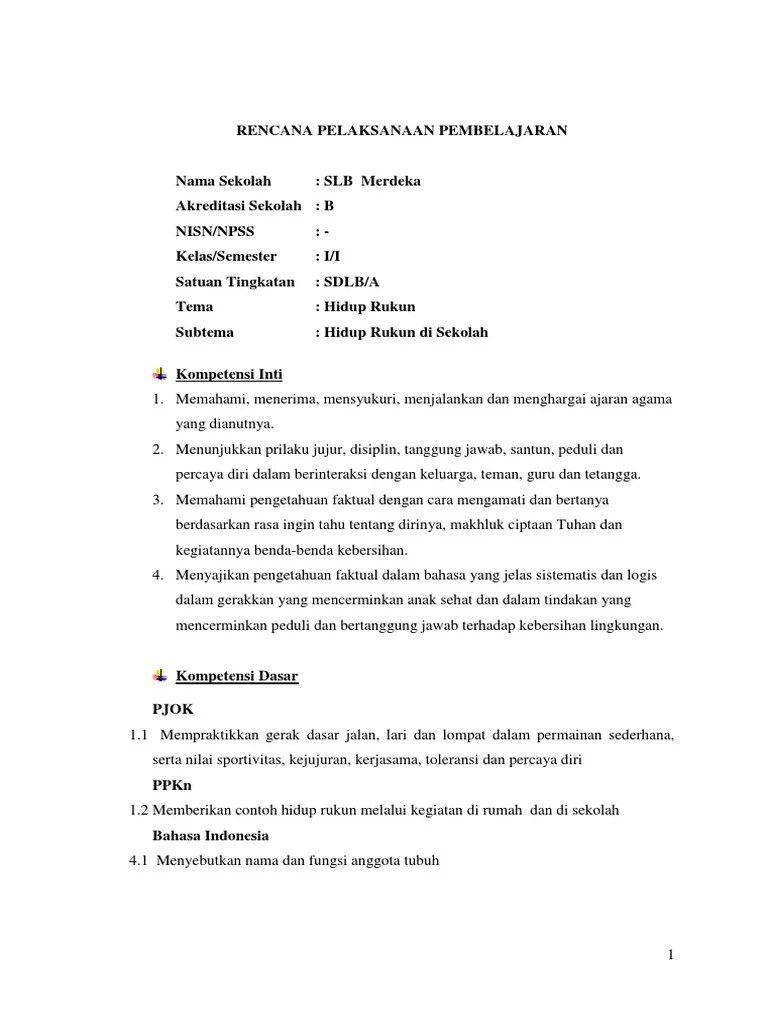 Rpp Tematik Untuk Anak Autis Dunia Sosial