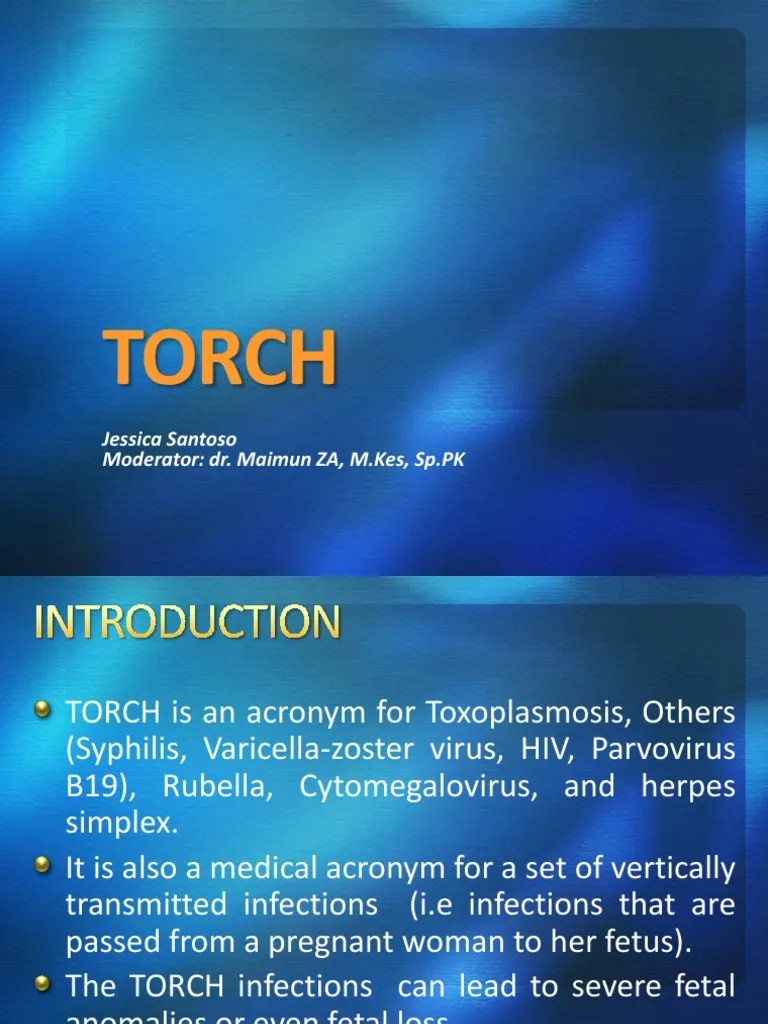 TORCH Infections An Overview of Toxoplasmosis, Other Infections