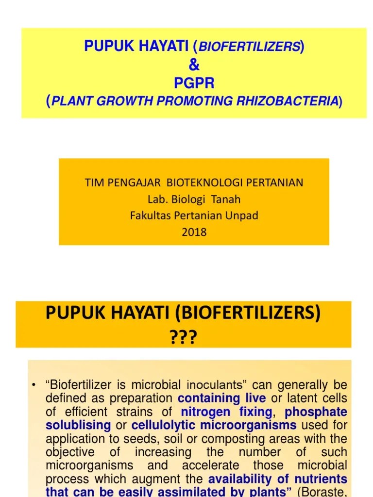 KUL III. PupukHayati Dan PGPR | PDF