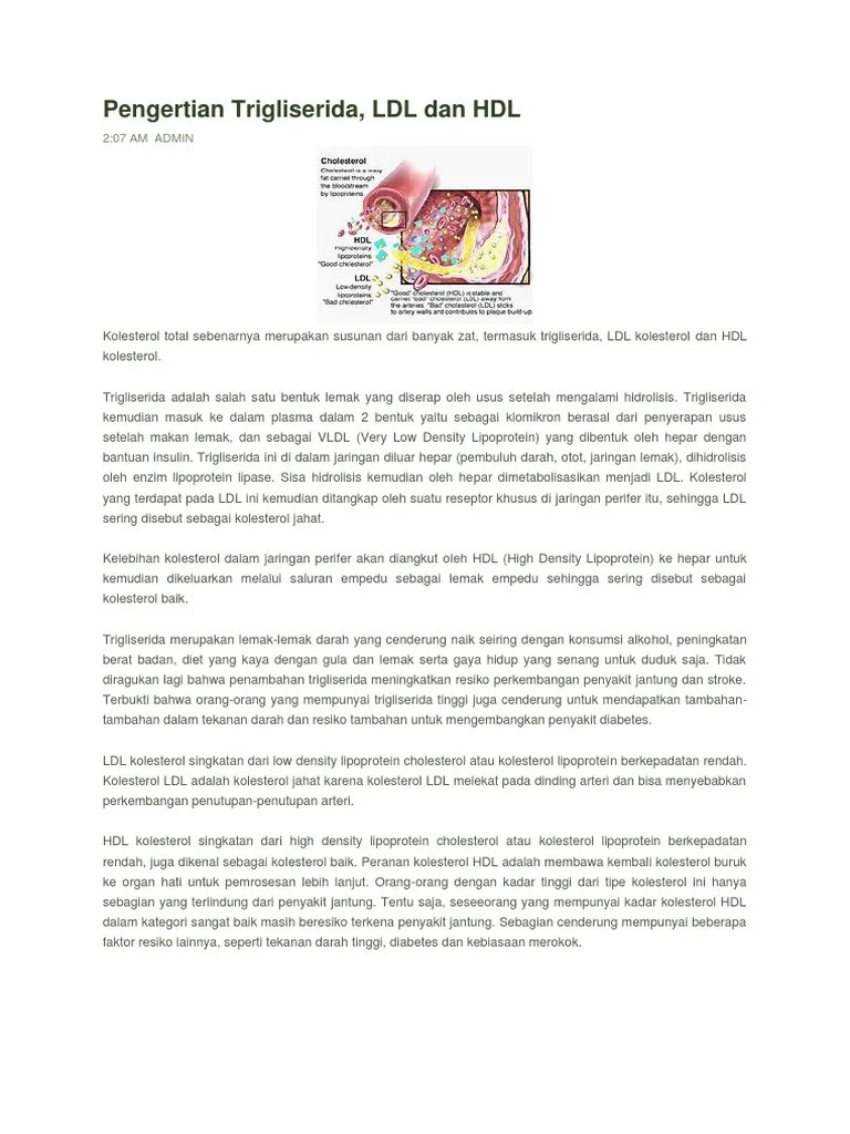 Kolesterol Ldl Dan Hdl Adalah