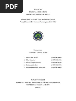 Makalah Protista Mirip Jamur (Kelompok 4 Offering A 2016) | PDF