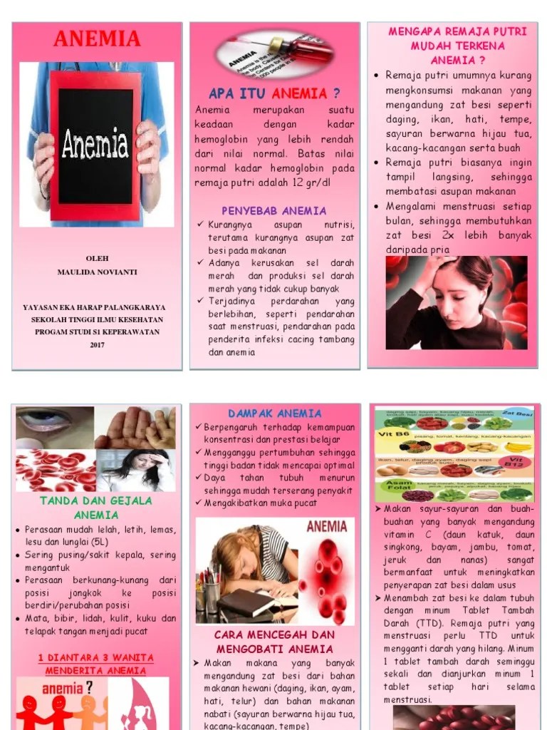 Leaflet Anemia Via | PDF