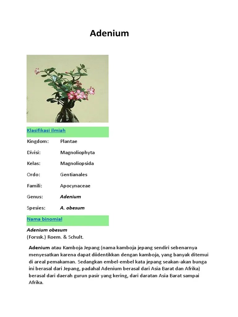 Adenium | PDF