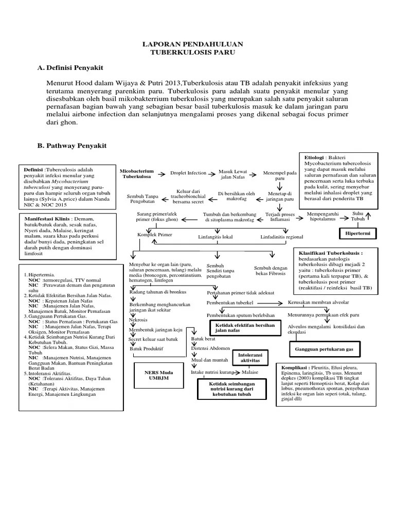Laporan Pendahuluan Tb Paru Pdf Seputar Laporan