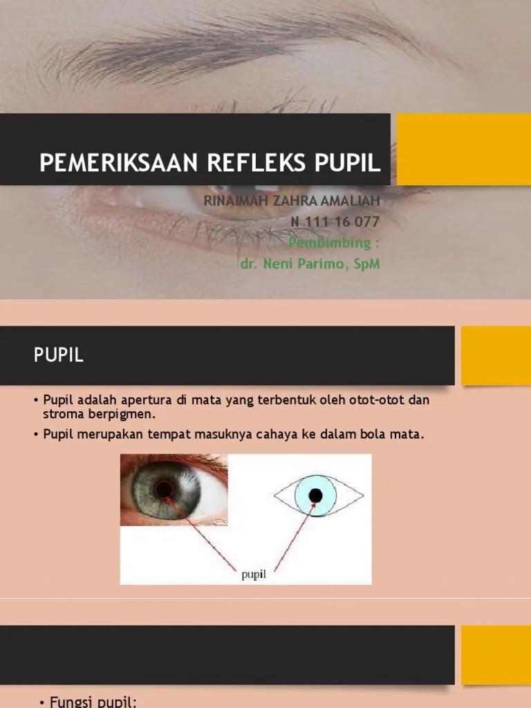 Pemeriksaan Refleks Pupil | PDF