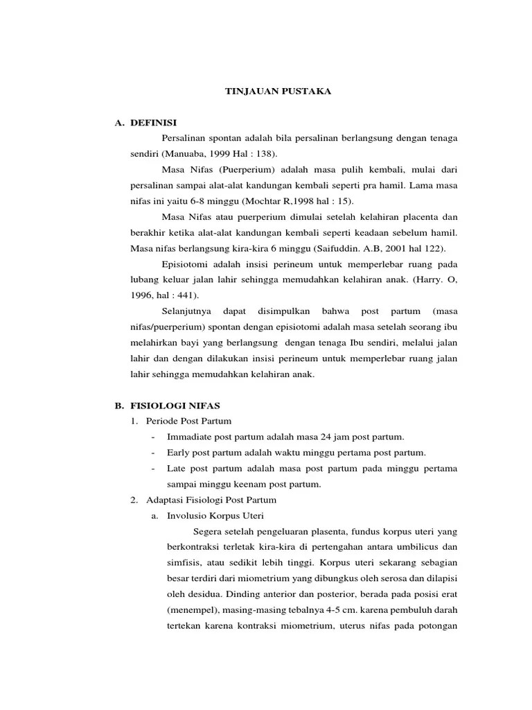 LP Post Partum Normal (Nifas) PDF