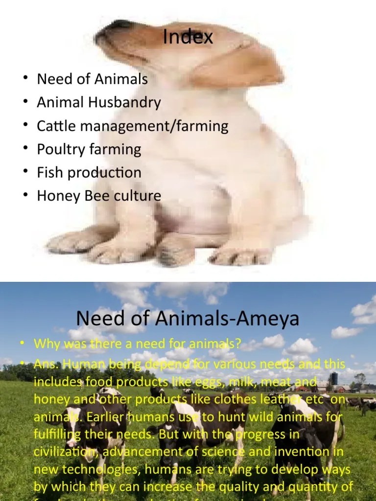 Animal Husbandry Ppt