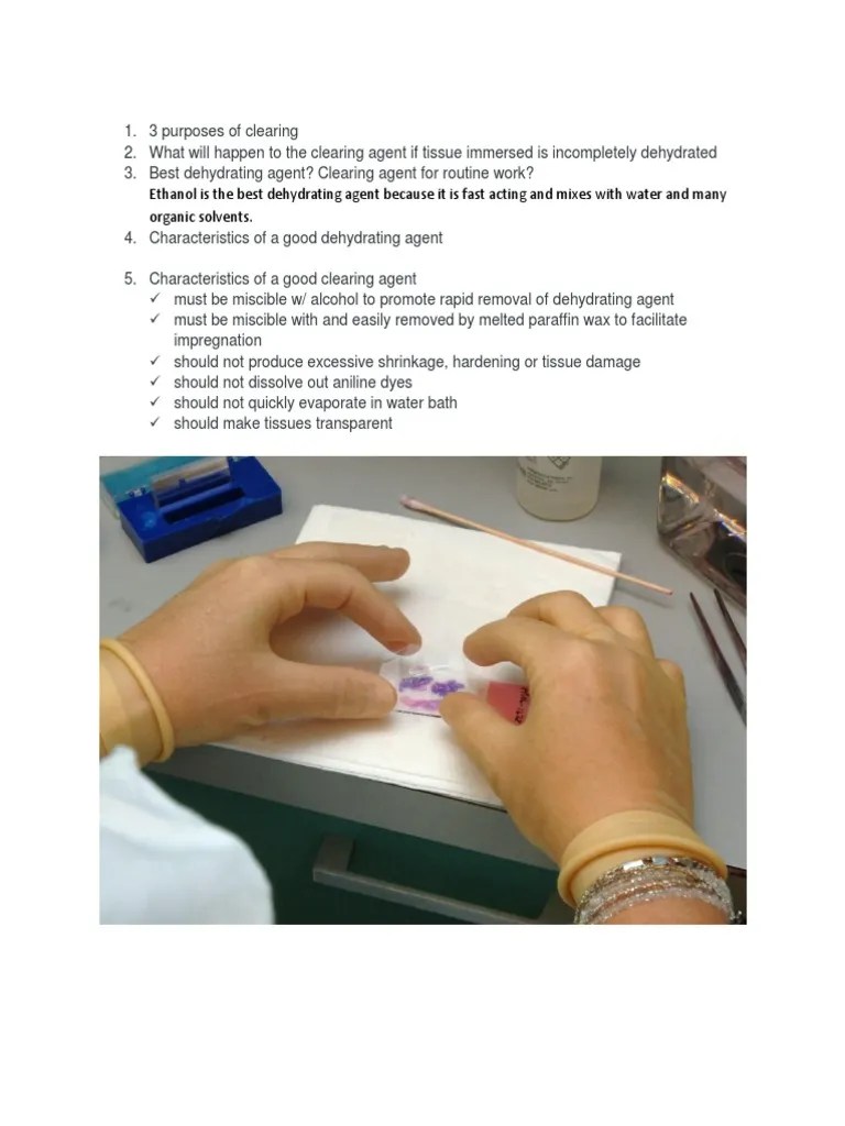 Ethanol Is The Best Dehydrating Agent Because It Is Fast Acting and